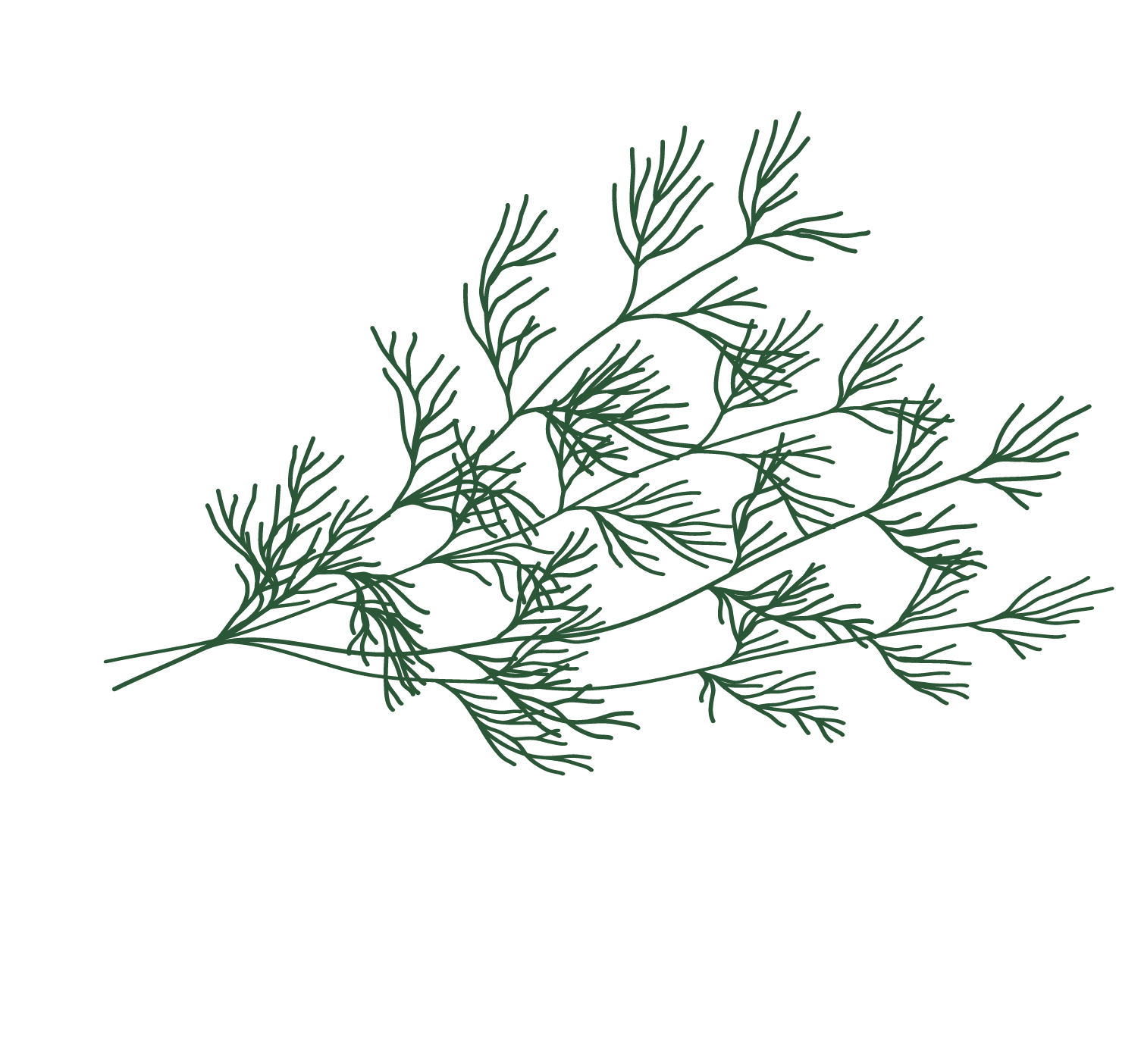 dill beet icon